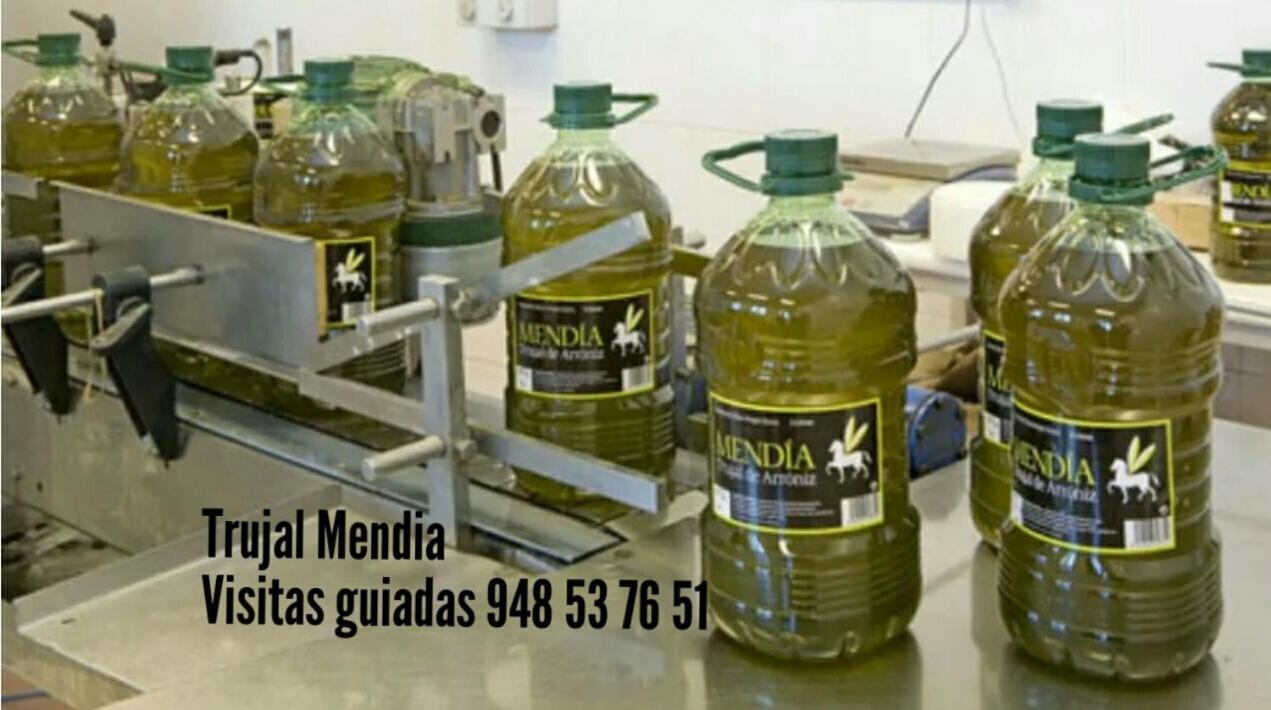 Greta Etxea Arroniz Exterior foto