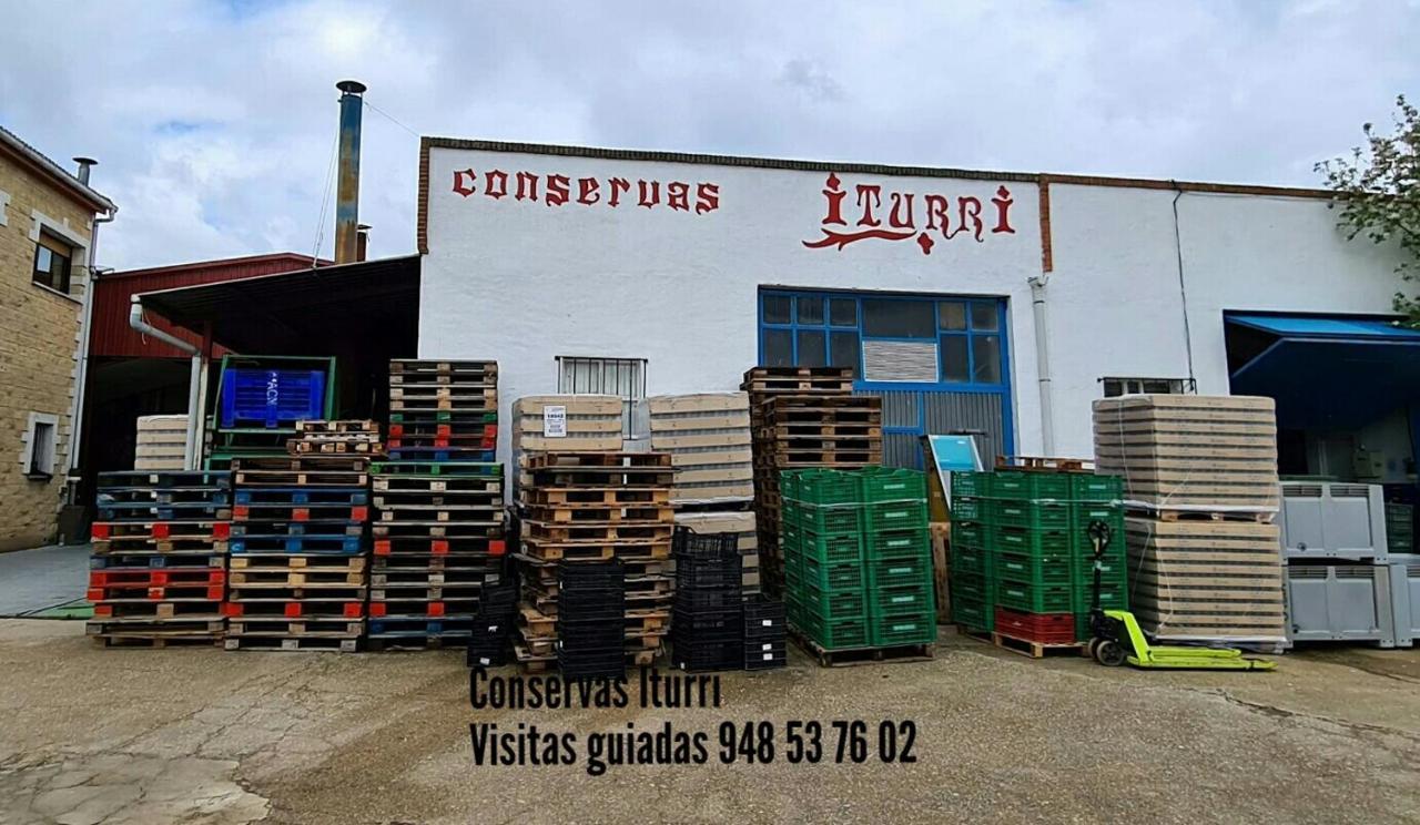 Greta Etxea Arroniz Exterior foto